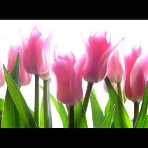 Meet your Posher, Mel